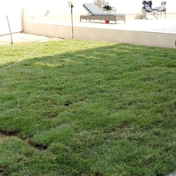 Artificial Grass Maintenance