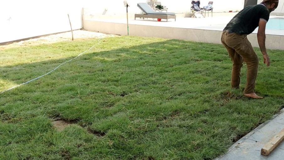 Artificial Grass Maintenance